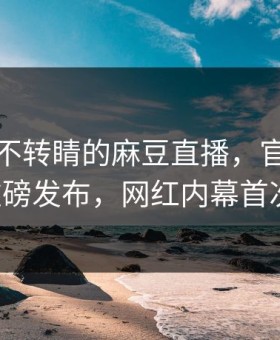 让你目不转睛的麻豆直播，官媒官方网站重磅发布，网红内幕首次曝光！