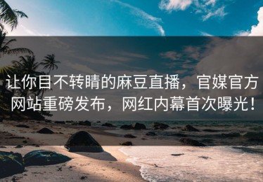 让你目不转睛的麻豆直播，官媒官方网站重磅发布，网红内幕首次曝光！