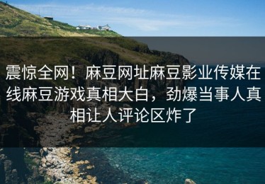 震惊全网！麻豆网址麻豆影业传媒在线麻豆游戏真相大白，劲爆当事人真相让人评论区炸了