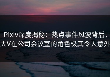 Pixiv深度揭秘：热点事件风波背后，大V在公司会议室的角色极其令人意外