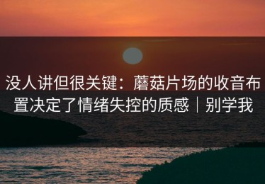 没人讲但很关键：蘑菇片场的收音布置决定了情绪失控的质感｜别学我