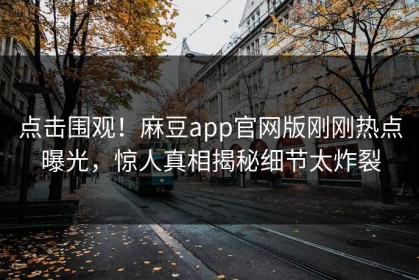 点击围观！麻豆app官网版刚刚热点曝光，惊人真相揭秘细节太炸裂