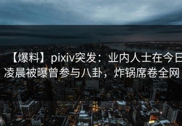 【爆料】pixiv突发：业内人士在今日凌晨被曝曾参与八卦，炸锅席卷全网