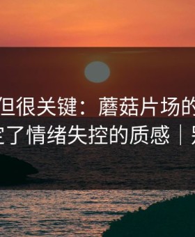 没人讲但很关键：蘑菇片场的收音布置决定了情绪失控的质感｜别学我