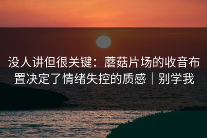 没人讲但很关键：蘑菇片场的收音布置决定了情绪失控的质感｜别学我