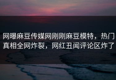 网曝麻豆传媒网刚刚麻豆模特，热门真相全网炸裂，网红丑闻评论区炸了