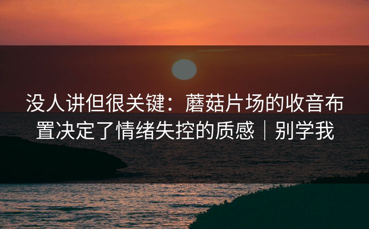 没人讲但很关键：蘑菇片场的收音布置决定了情绪失控的质感｜别学我